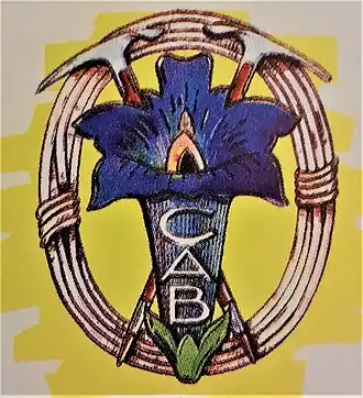 Image illustrative de l’article Club alpin belge