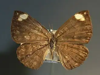 Description de cette image, également commentée ci-après