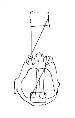 Schéma anatomique stylisé à l'extrême de la neurophysiologie de la vision.