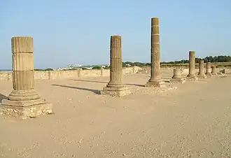 Angle sud-est du forum