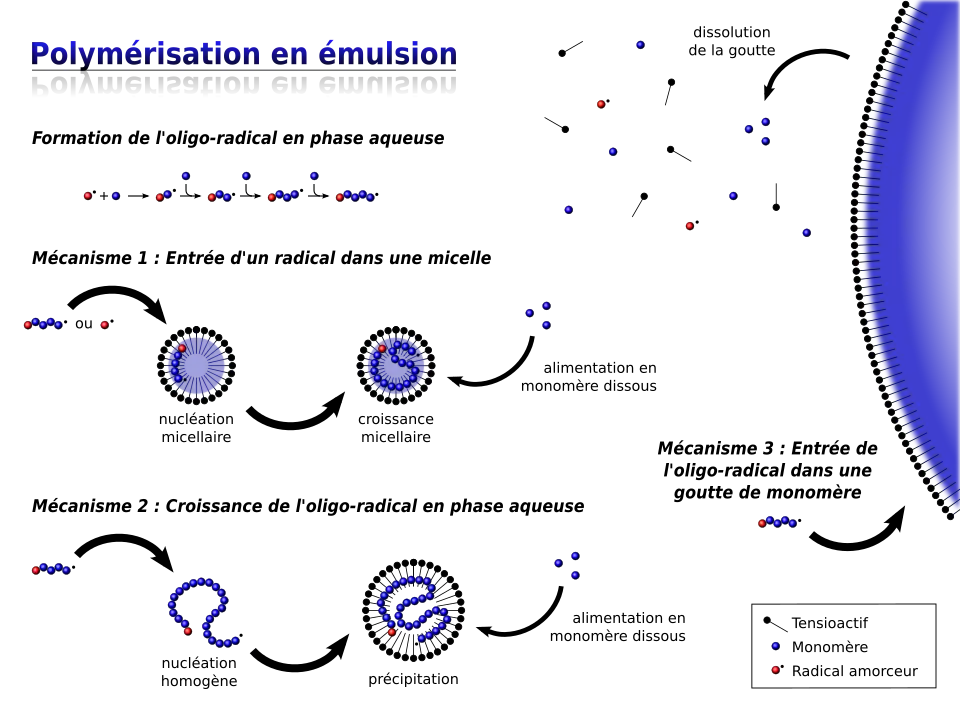 Schéma décrivant les trois mécanismes réactionnels pouvant avoir lieu au cours d'une polymérisation par émulsion : micellaire, homogène, en goutte.