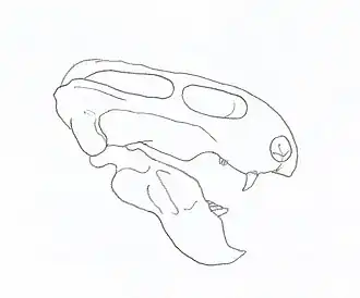 Description de cette image, également commentée ci-après