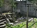 Une partie de l'enclos des bouquetins et des condors