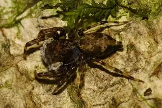 Description de cette image, également commentée ci-après