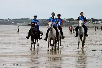 Image illustrative de l’article Denis Le Guillou