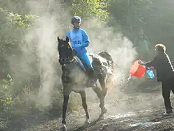 Scott Al Sah'ra, monté par Marcela Koptová en Tchéquie.