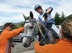 Un homme et une femme habillés en orange tiennent un cheval gris à l'arrêt; la cavalière du cheval étant en selle et l'arrosant avec une bouteille d'eau.