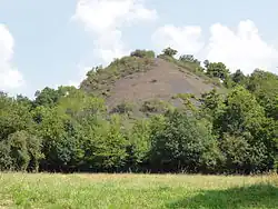 Le terril no&nbsp;244.