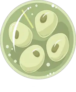 Kyste de l'Entamoeba minuta.