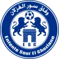 Logo du Entente Sour El Ghozlane