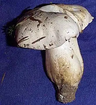 Description de cette image, également commentée ci-après