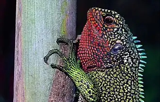 Description de cette image, également commentée ci-après