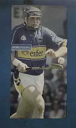 Image illustrative de l’article Eoin Kelly (Tipperary)