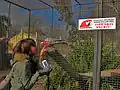 « Attention ces oiseaux vont mordre ! »