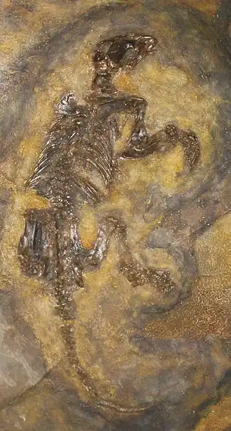 Description de cette image, également commentée ci-après