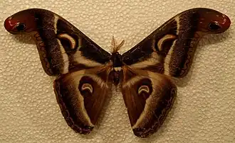 Description de cette image, également commentée ci-après