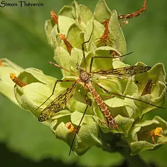 Description de cette image, également commentée ci-après
