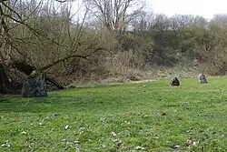 Eppeville. Alignement de la Pierre qui Pousse constitué de cinq menhirs dont trois visible hors du sol.