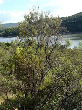 Description de cette image, également commentée ci-après