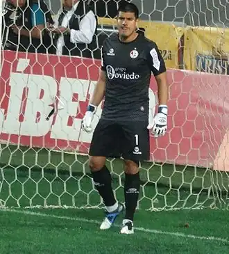 Image illustrative de l’article Erick Delgado