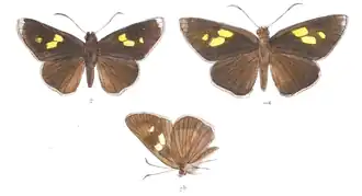 Description de cette image, également commentée ci-après