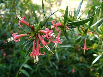 Description de cette image, également commentée ci-après