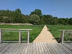 Centre de la plaine avec ilots.