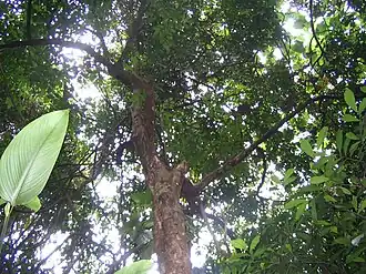 Description de cette image, également commentée ci-après