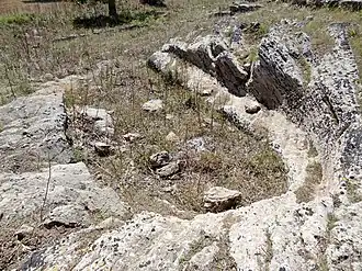 Image illustrative de l’article Es Figueral de Son Real