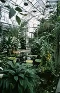 Jardin botanique et serre, Université de Joensuu, A+P, 1985