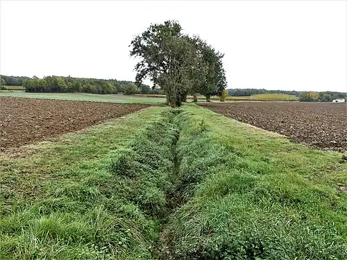 L'Escourou à sec en limite de Mescoules (à gauche) et Saint-Julien-d'Eymet.