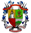 Blason de Naguanagua