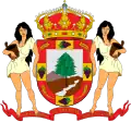 Blason de La Guancha