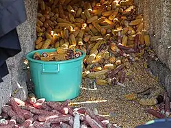 Vue de l'intérieur d'un Espigueiro