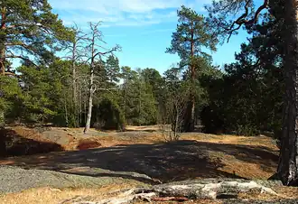 Rochers de Kellomäki au nord-ouest.