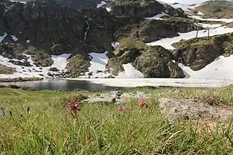 Image illustrative de l’article Estany de Creussans