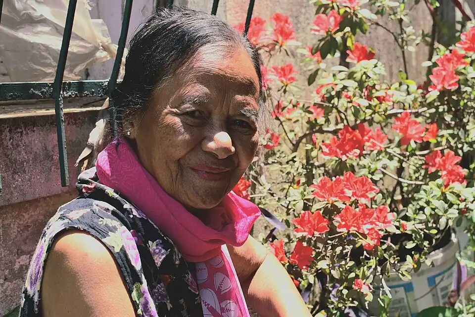 Esther Randriamamonjy ou E.D.D. Auteur, traductrice, Professeur