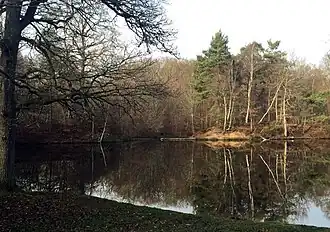 Image illustrative de l’article Étang Rompu (forêt de Rambouillet)