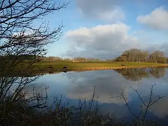 Saint-Pierre-de-Varennes