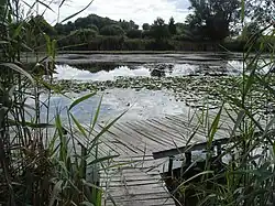 L'étang.