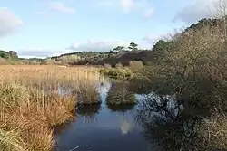 Baie d'Audierne (Tréogat) : étang de Trunvel depuis la route du Vent solaire