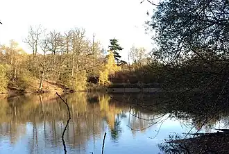 Étang du Coupe-Gorge au sud