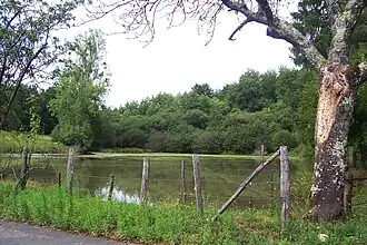 Photo montrant une petite mare avec au premier plan une clôture de fil de fer.