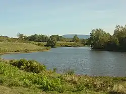 Paysage de prés avec le ballon de Servance en arrière-plan.