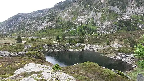Les étangs de Bassiès, entre granite et pins à crochets.