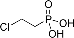 Image illustrative de l’article Éthéphon