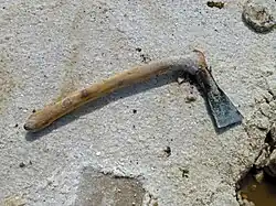 Herminette utilisée pour le découpage des plaques.