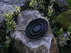 Étrille en caoutchouc