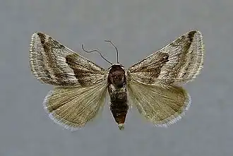 Description de cette image, également commentée ci-après