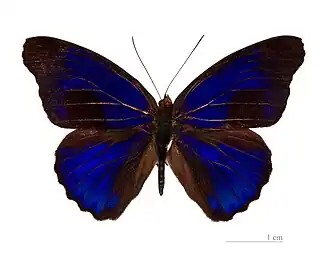 Description de cette image, également commentée ci-après